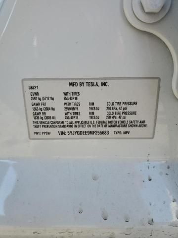 2021 Tesla Model Y