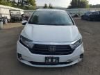 2022 Honda Odyssey EXL