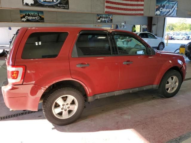 2011 Ford Escape XLS