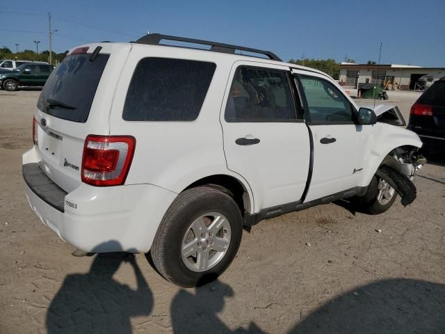 2012 Ford Escape Hybrid