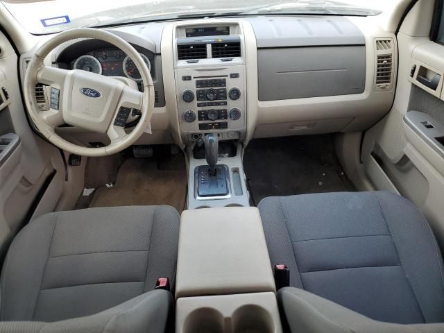 2009 Ford Escape XLT