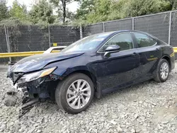 Toyota Camry le salvage cars for sale: 2021 Toyota Camry LE