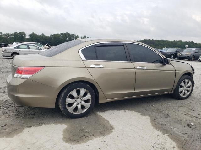 2008 Honda Accord EXL