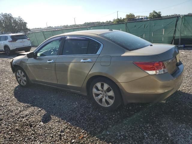 2010 Honda Accord EXL