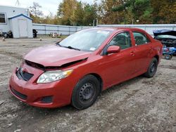 Salvage cars for sale from Copart Lyman, ME: 2010 Toyota Corolla Base