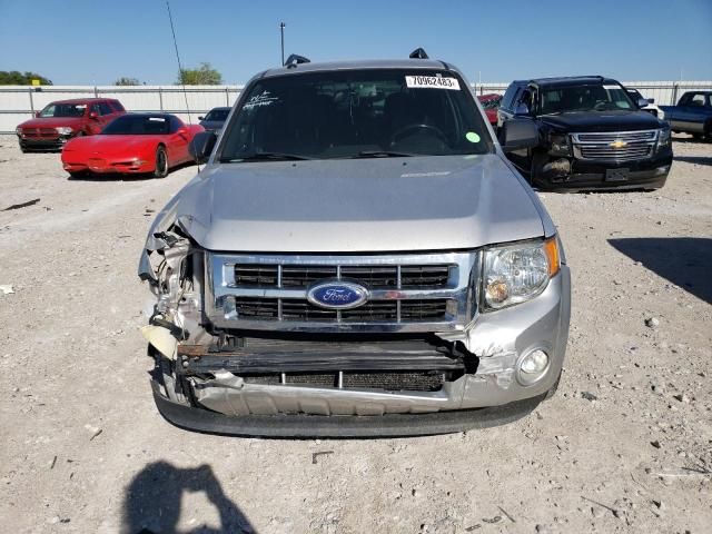 2011 Ford Escape XLT