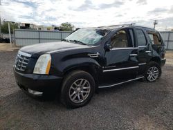 Cadillac salvage cars for sale: 2007 Cadillac Escalade Luxury