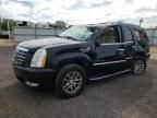 2007 Cadillac Escalade Luxury