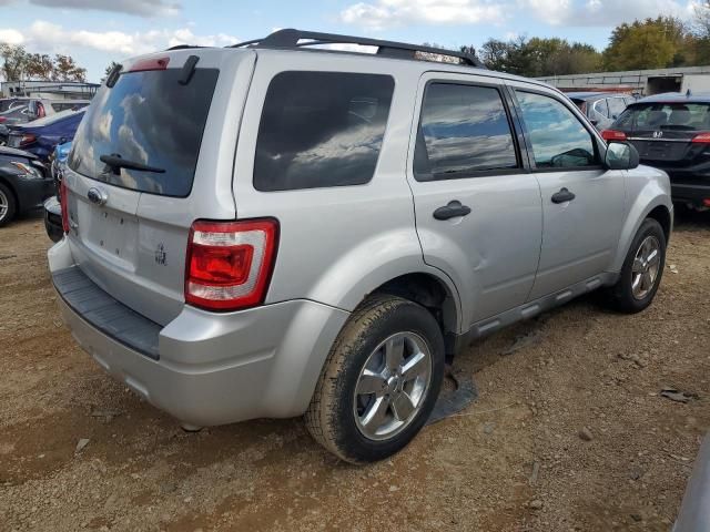 2009 Ford Escape XLT