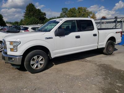 Salvage cars for sale from Copart Finksburg, MD: 2016 Ford F150 Supercrew