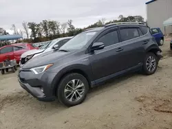 Toyota salvage cars for sale: 2017 Toyota Rav4 HV LE