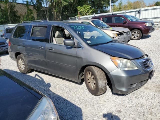 2008 Honda Odyssey EXL