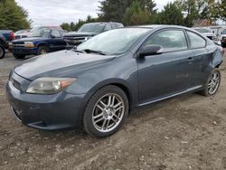 Salvage cars for sale from Copart Finksburg, MD: 2006 Scion TC