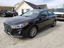 Salvage cars for sale from Copart Northfield, OH: 2019 Hyundai Sonata SE