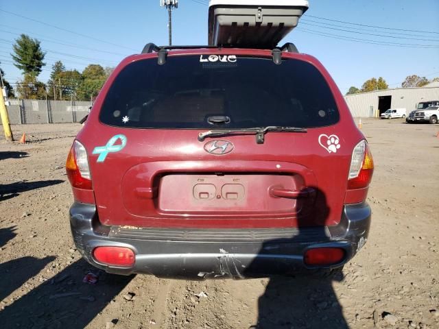 2004 Hyundai Santa FE GLS