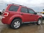 2008 Ford Escape XLT