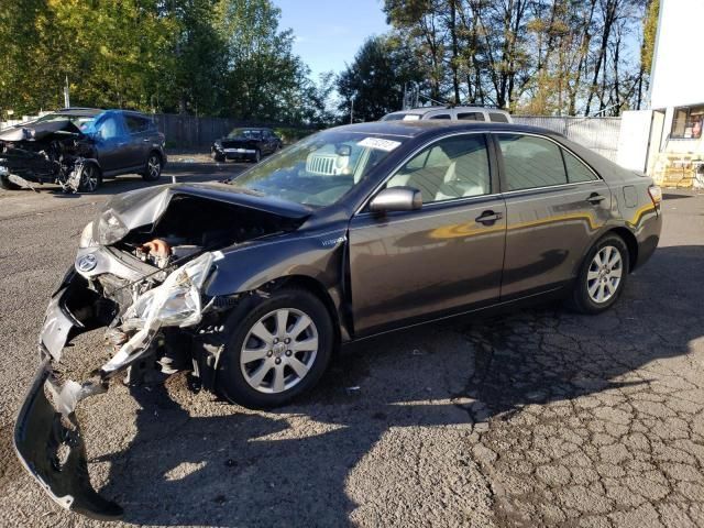 2007 Toyota Camry Hybrid