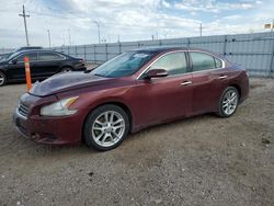 2010 Nissan Maxima S for sale in Greenwood, NE