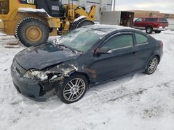Salvage cars for sale from Copart Bismarck, ND: 2005 Scion TC