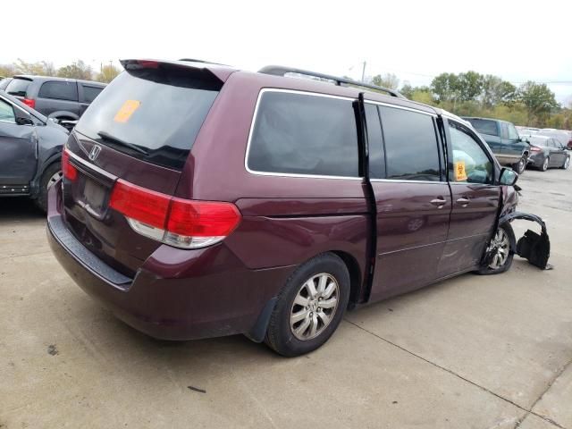 2008 Honda Odyssey EXL