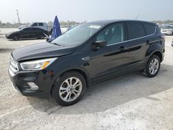 Salvage cars for sale from Copart Arcadia, FL: 2017 Ford Escape SE