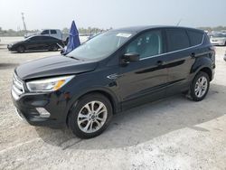 Salvage cars for sale at Arcadia, FL auction: 2017 Ford Escape SE