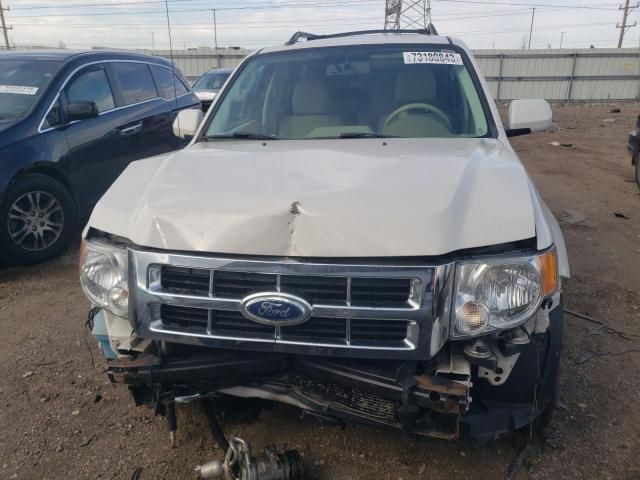 2010 Ford Escape Limited