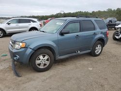 Ford Escape salvage cars for sale: 2012 Ford Escape XLT