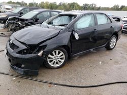 Salvage cars for sale at Louisville, KY auction: 2010 Toyota Corolla Base