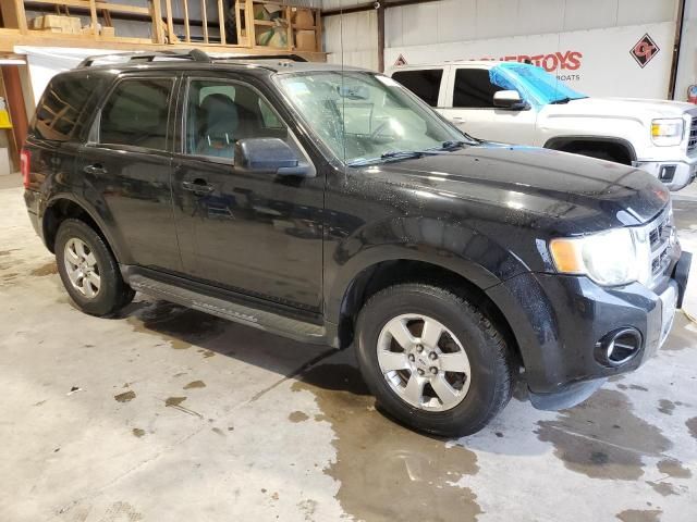 2009 Ford Escape Limited