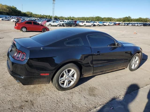 2014 Ford Mustang