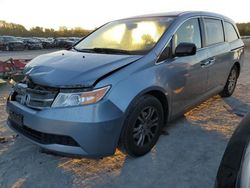 Honda Odyssey exl Vehiculos salvage en venta: 2013 Honda Odyssey EXL