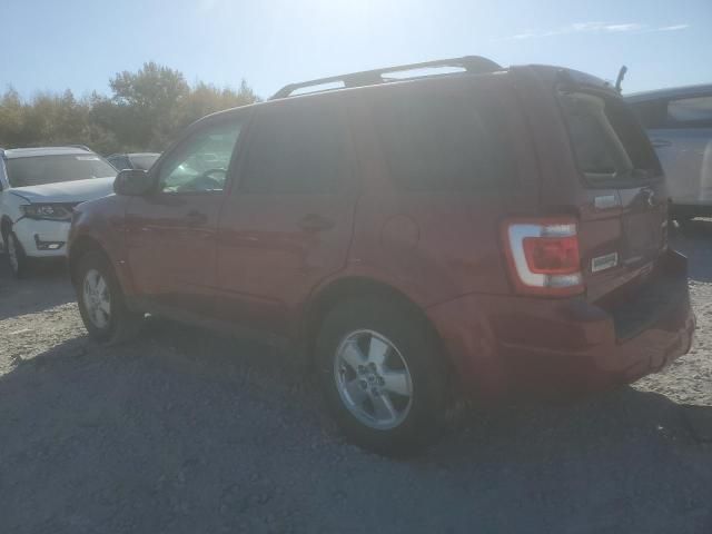 2012 Ford Escape XLT