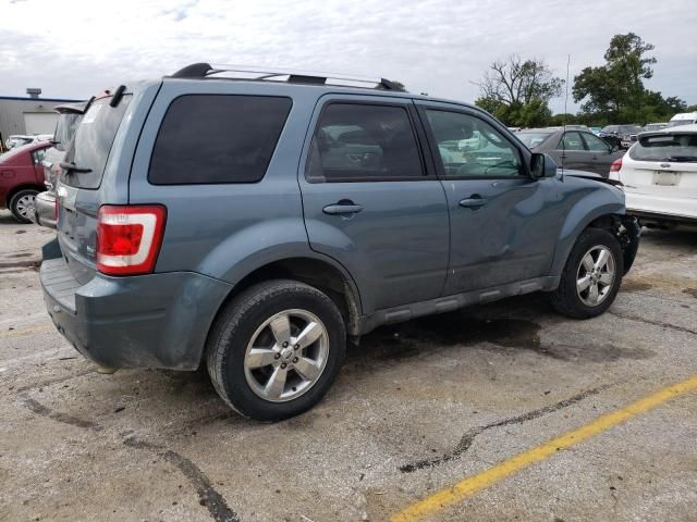 2011 Ford Escape Limited