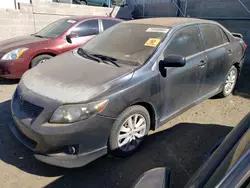 Salvage cars for sale at Anthony, TX auction: 2009 Toyota Corolla Base