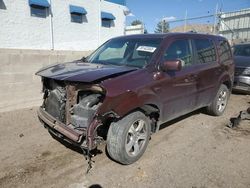 Salvage cars for sale from Copart Albuquerque, NM: 2014 Honda Pilot EXL