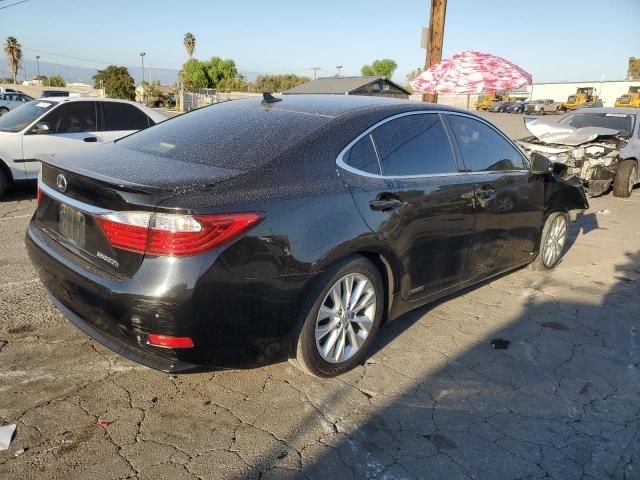 2014 Lexus ES 300H