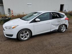 Ford Focus salvage cars for sale: 2016 Ford Focus SE