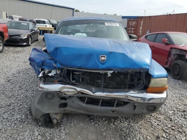 2001 Dodge Dakota Quattro