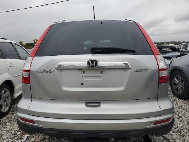 2010 Honda CR-V EXL