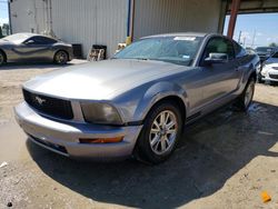 2006 Ford Mustang en venta en Riverview, FL