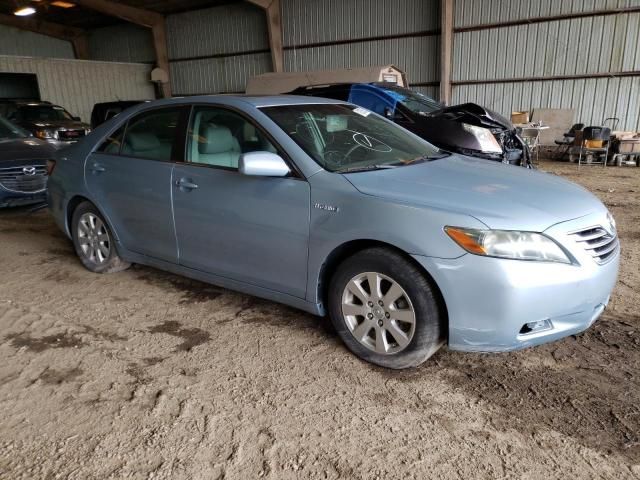 2009 Toyota Camry Hybrid