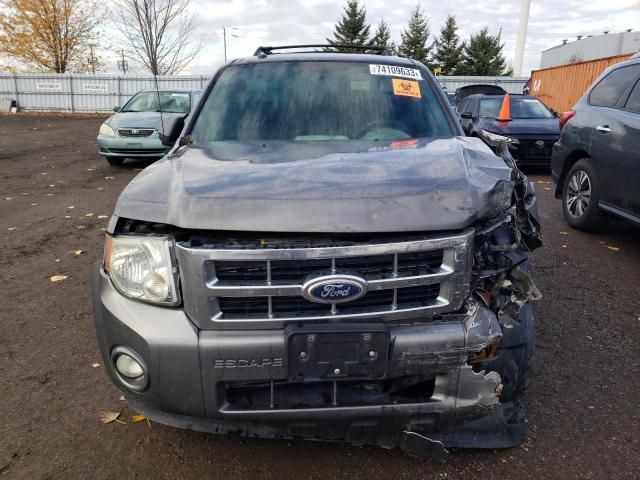 2010 Ford Escape XLT