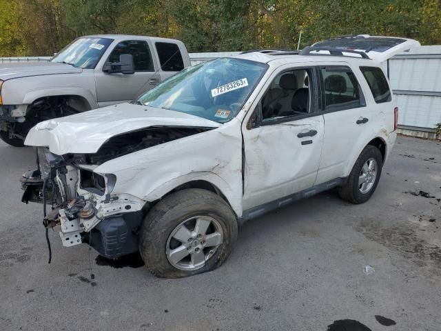 2011 Ford Escape XLT