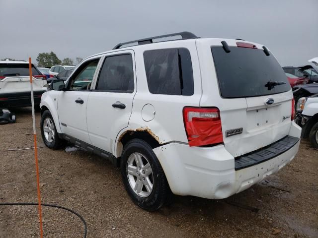 2008 Ford Escape HEV