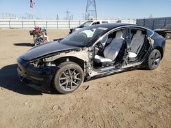 Salvage cars for sale from Copart Adelanto, CA: 2019 Tesla Model 3