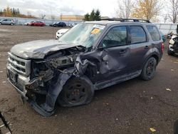 Ford Vehiculos salvage en venta: 2010 Ford Escape XLT