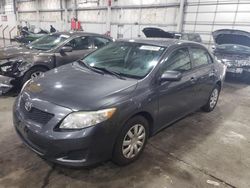 Salvage cars for sale from Copart Woodburn, OR: 2010 Toyota Corolla Base