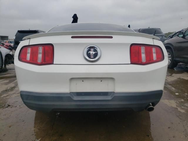 2010 Ford Mustang