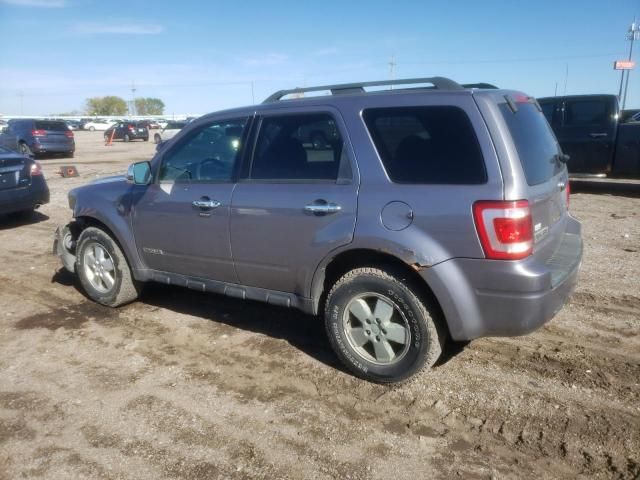 2008 Ford Escape XLT